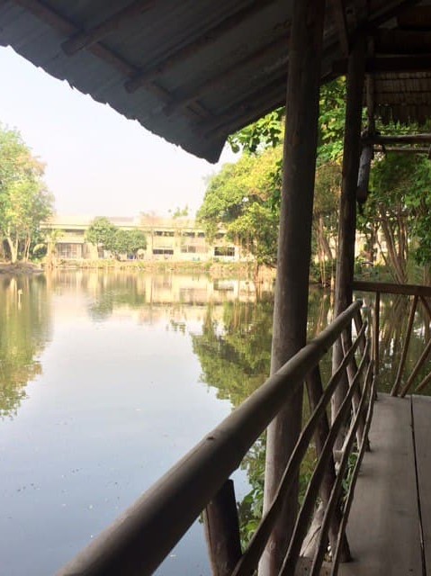 The fish lake in Pathom Asoke, far away, is the soy sauce factory, a very peaceful corner every afternoon in Asoke.